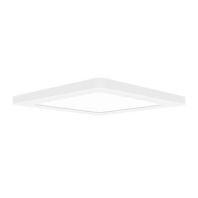 Dual Voltage LED Flush Mount