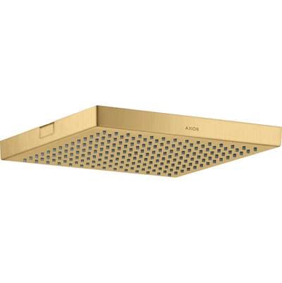 Axor Showersolutions Showerhead 240 1-Jet, 2.5 GPM in - Brushed Gold Optic by Axor