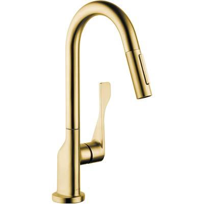 AXOR Citterio  Prep Kitchen Faucet 2-Spray Pull-Down, 1.75 GPM in Brushed Gold Optic