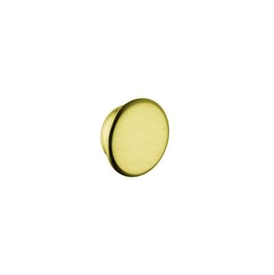 Axor Montreux Color Cap Kit Set in - Brushed Gold Optic by Axor