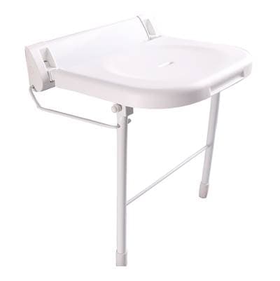 Barclay 18'' Wall Mount Folding Shower - White by Barclay