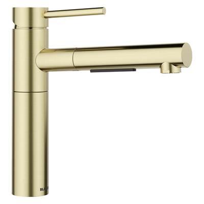 Alta II Pull Out 1.5 GPM - Satin Gold