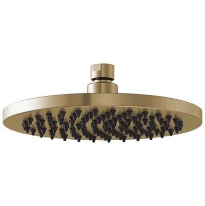Brizo Universal Showering 8'' Linear Round Single-function Raincan Shower Head - 2.5 GPM - Luxe Gold