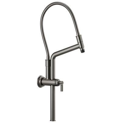 Universal Showering 10 7/16'' Classic Slide Bar Shower Arm And Flange - Luxe Steel by Brizo