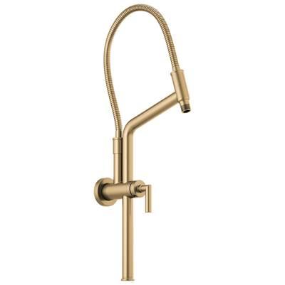 Universal Showering 10 7/16'' Linear Round Slide Bar Shower Arm And Flange - Luxe Gold