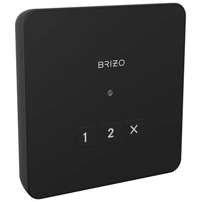 Brizo Other Square Exterior Control - Matte Black by Brizo