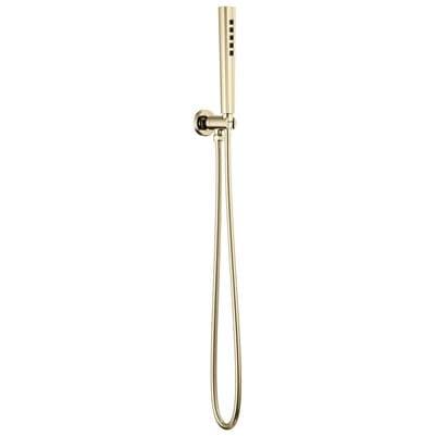 Brizo Levoire Handshower - Polished Nickel by Brizo