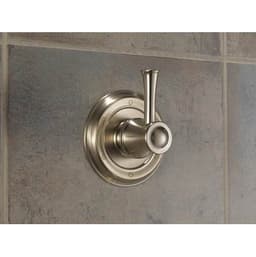 T60905-BN product image