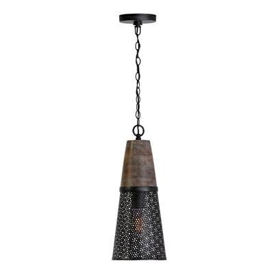 1 Light Pendant by Capital Lighting