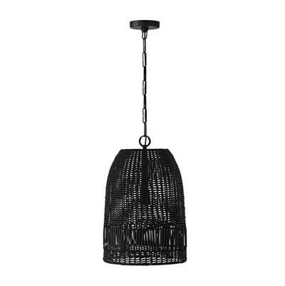 1 Light Pendant by Capital Lighting