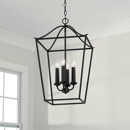 550641BI product image