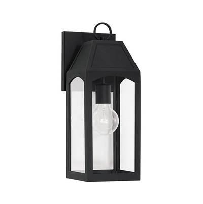 1 Light Outdoor Wall Lantern by Capital Lighting