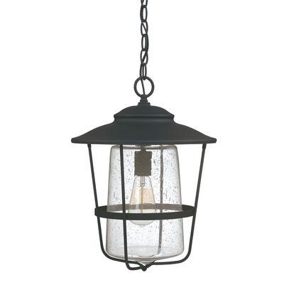 1 Light Outdoor Hanging Lantern by Capital Lighting