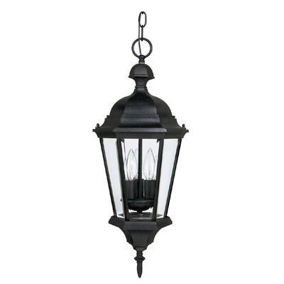 3 Light Outdoor Hanging Fixture by Capital Lighting
