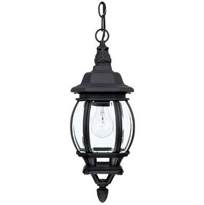 1 Light Hanging Outdoor Lantern by Capital Lighting