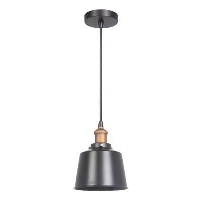 1 Light Mini Pendant in Matte Black/Patina Aged Brass
