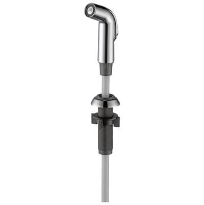 Delta Faucet Other Side Spray & Hose Assembly - Chrome