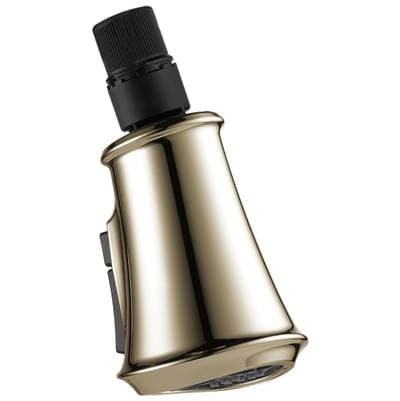 Delta Faucet CassidyE Wand Assembly - Lumicoat Polished Nickel