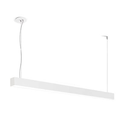 8Ft,F55,Susp,3000K,Wht,Ext by Eurofase