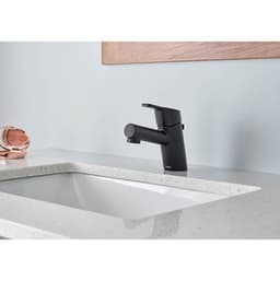 D224530BS product image