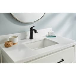D225018BS product image