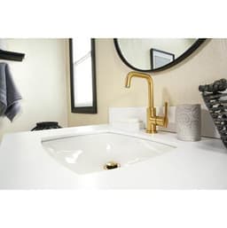 G0013760 product image