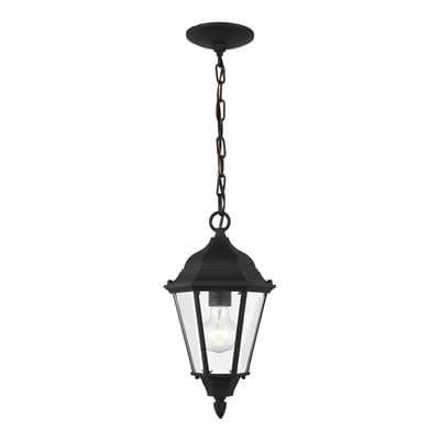 Generation Lighting Bakersville One Light Outdoor Pendant - Black by Generation Lighting