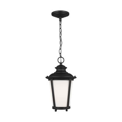 Generation Lighting Cape May 16'' Hanging Lantern - Black