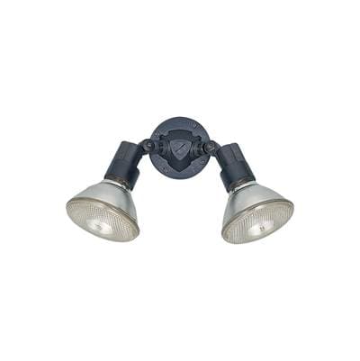 Generation Lighting Two Light Adjustable Swivel Flood Light Black 8642-12