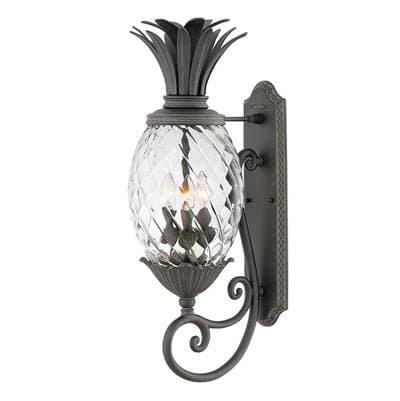 Hinkley Lighting Medium Wall Mount Lantern - Museum Black by Hinkley Lighting