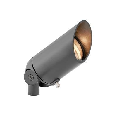 Variable Output LED 2700K Spot 120v