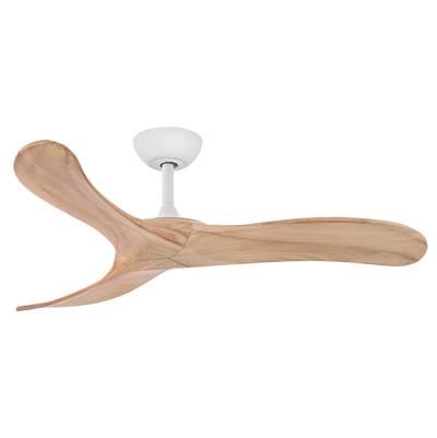 Swell 48'' Smart Fan