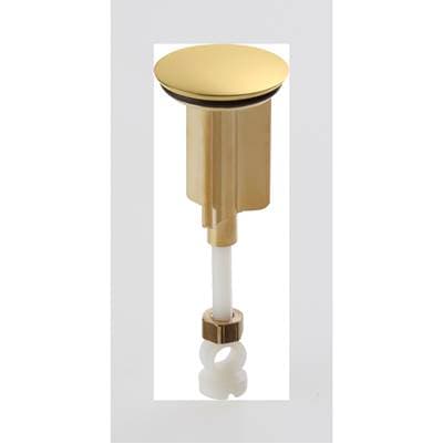 Kohler Genuine Parts Stopper Assembly - Vibrant Finish by Kohler Genuine Parts