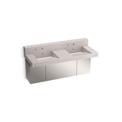 Kohler ConstellationE 60'' wall-mount basin lavatory system with backsplash - Desertsilver by Kohler
