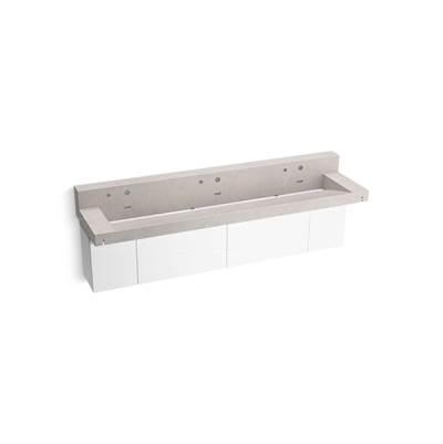 Kohler ConstellationE 90'' wall-mount trough lavatory system with backsplash - Desertsilver by Kohler