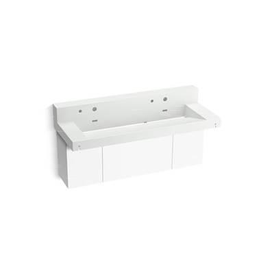Kohler ConstellationE 60'' wall-mount trough lavatory system with backsplash - Miami White by Kohler