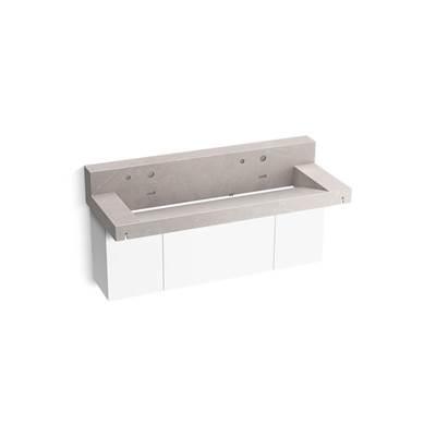 Kohler ConstellationE 60'' wall-mount trough lavatory system with backsplash - Desertsilver by Kohler