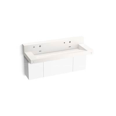 Kohler ConstellationE 60'' wall-mount trough lavatory system with backsplash - Designer White by Kohler