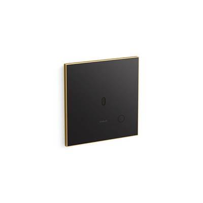 Kohler Glass faceplate for concealed touchless toilet flushometer, 1.1 gpf - Vibrant Brushed Moderne Brass by Kohler