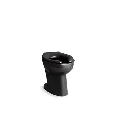 Kohler HighcliffE Ultra Floor-mount top spud flushometer bowl with bedpan lugs - Black by Kohler