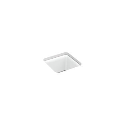 Kohler | Cairn | Kitchen Sink - Matte White by Kohler