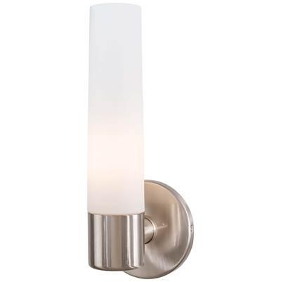 1 Light Wall Sconce