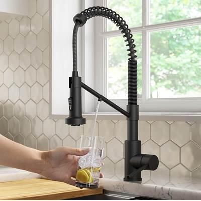 BoldenE 2-in-1 Commercial Style Pull-Down Single Handle Water Filter Kitchen Faucet for Reverse Osmosis or Water Filtration System in Matte Black
