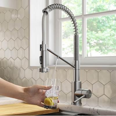 BoldenE 2-in-1 Commercial Style Pull-Down Single Handle Water Filter Kitchen Faucet for Reverse Osmosis or Water Filtration System in Spot Free Stainless Steel