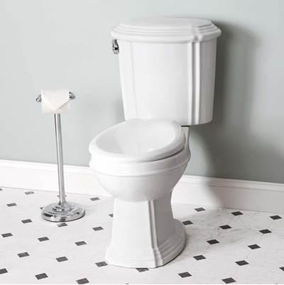 Two-Piece Toilet