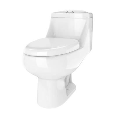 One-Piece Toilet