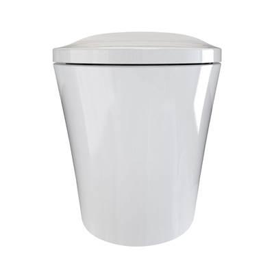 One-Piece Smart Toilet by Maidstone