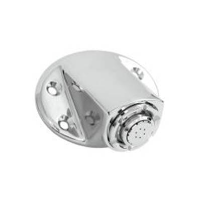 Moen Commercial Chrome Showerhead