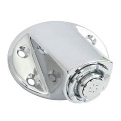 Moen Commercial Chrome Showerhead