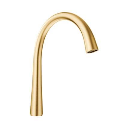 Moen SPOUT KIT BG - Brushed Gold by Moen